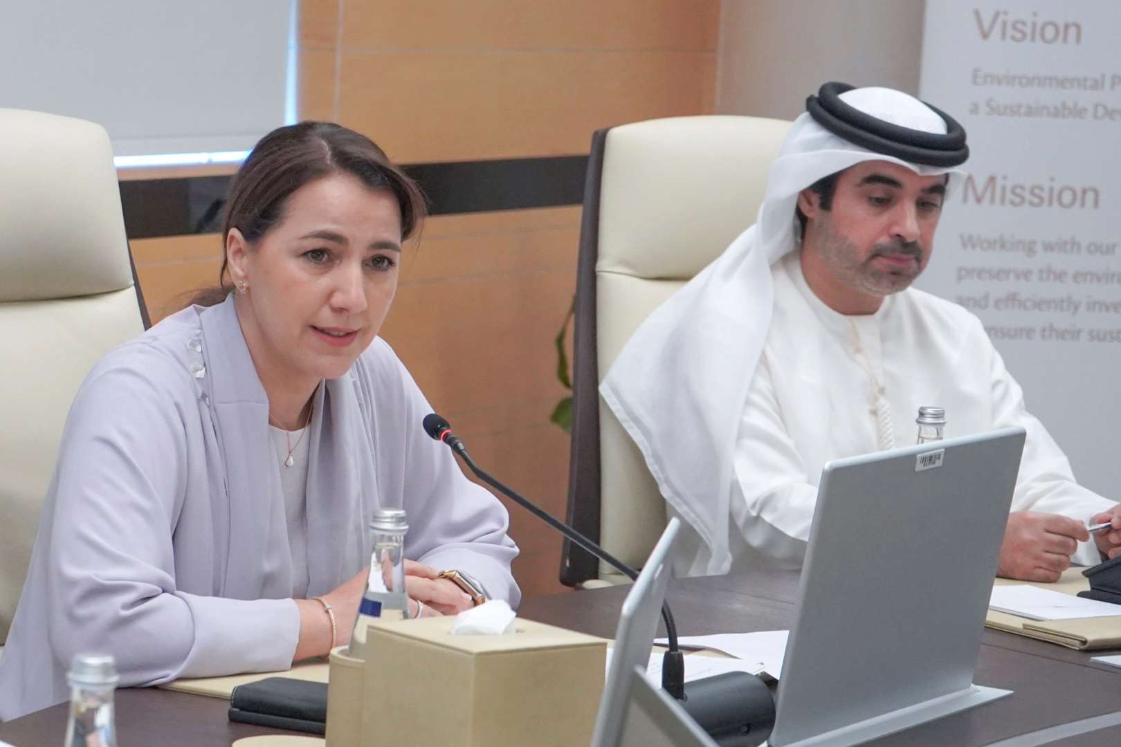 The UAE Climate Council Explores A Private Sector-led Net-zero ...